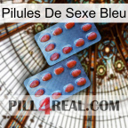 Blue Sex Pills 05